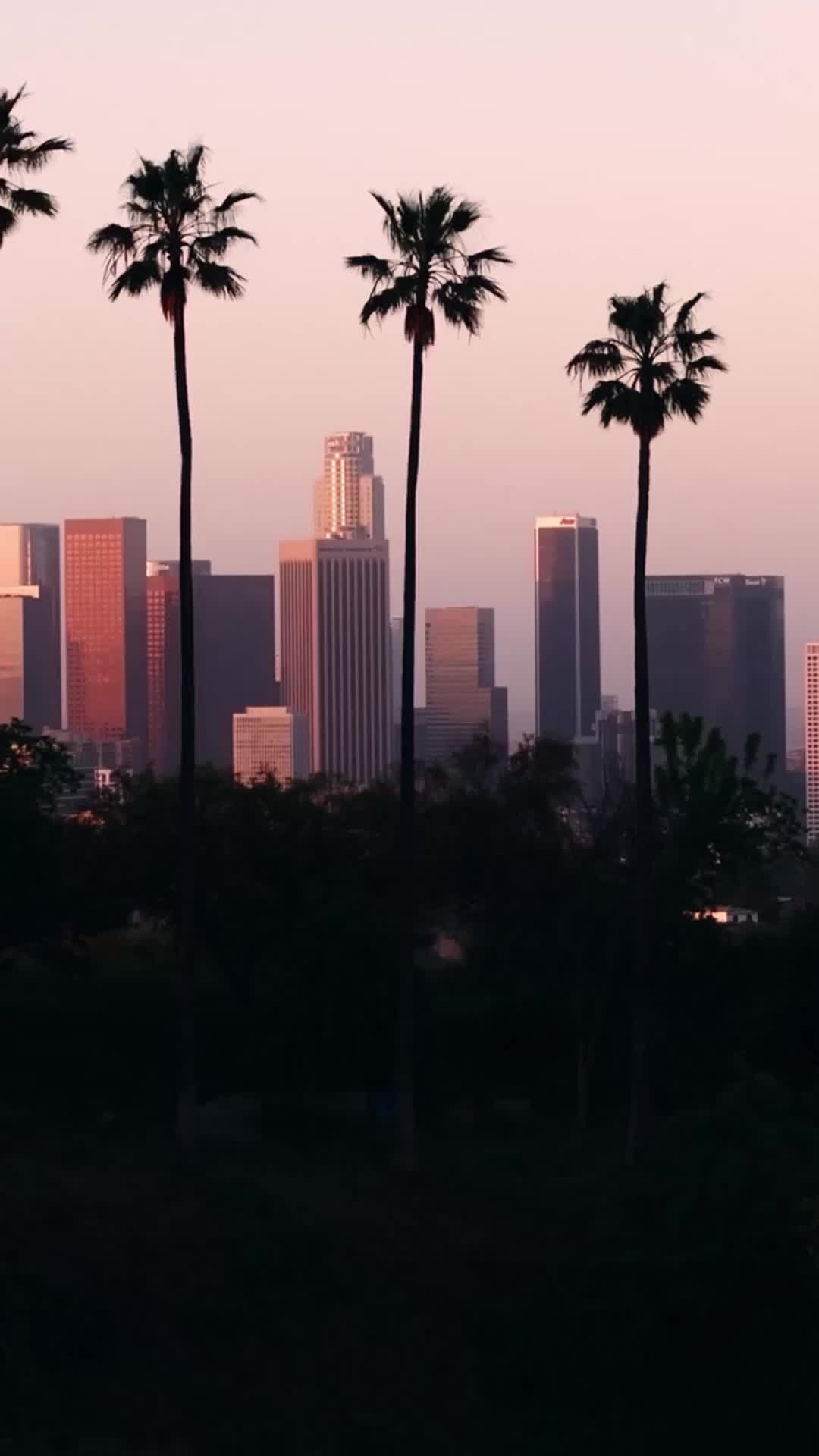 A Sweet Contract with the Mafia Boss EP.9