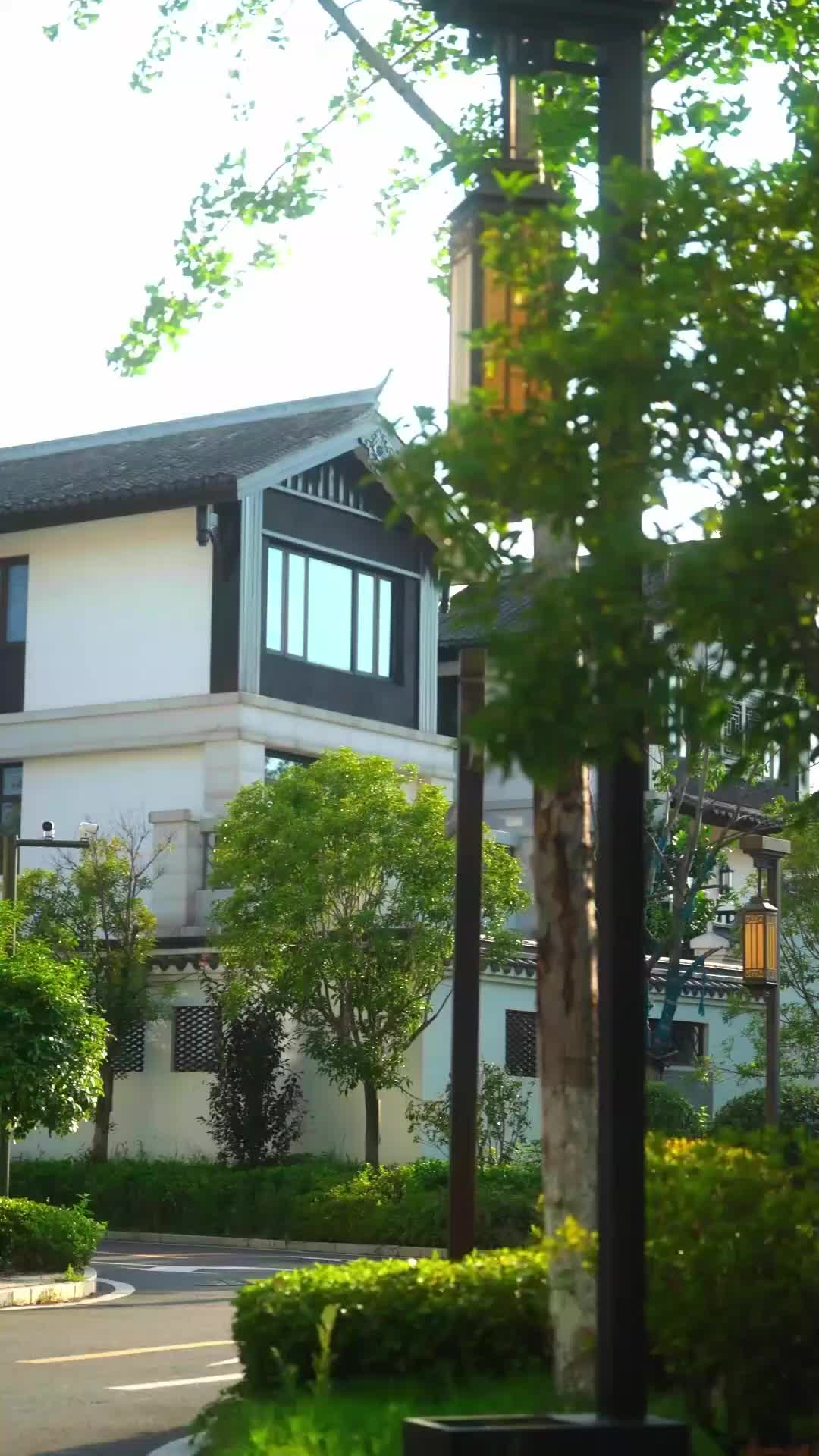 傅爷的小青梅又飒又美 EP.5