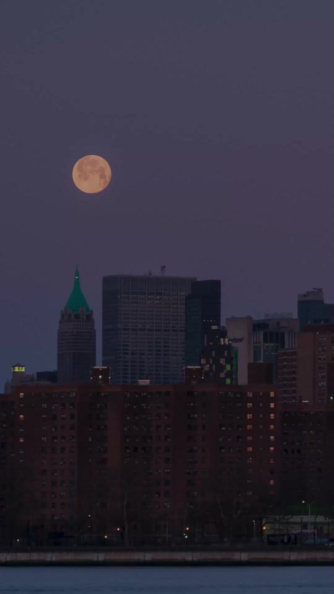 ニセ花嫁と禁断の恋を EP.12