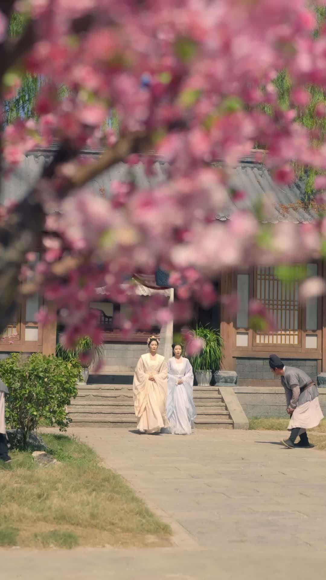 Tập 6