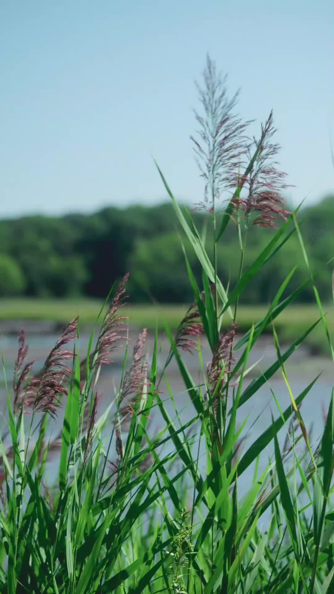 The Getaway Heiress Returns EP.7