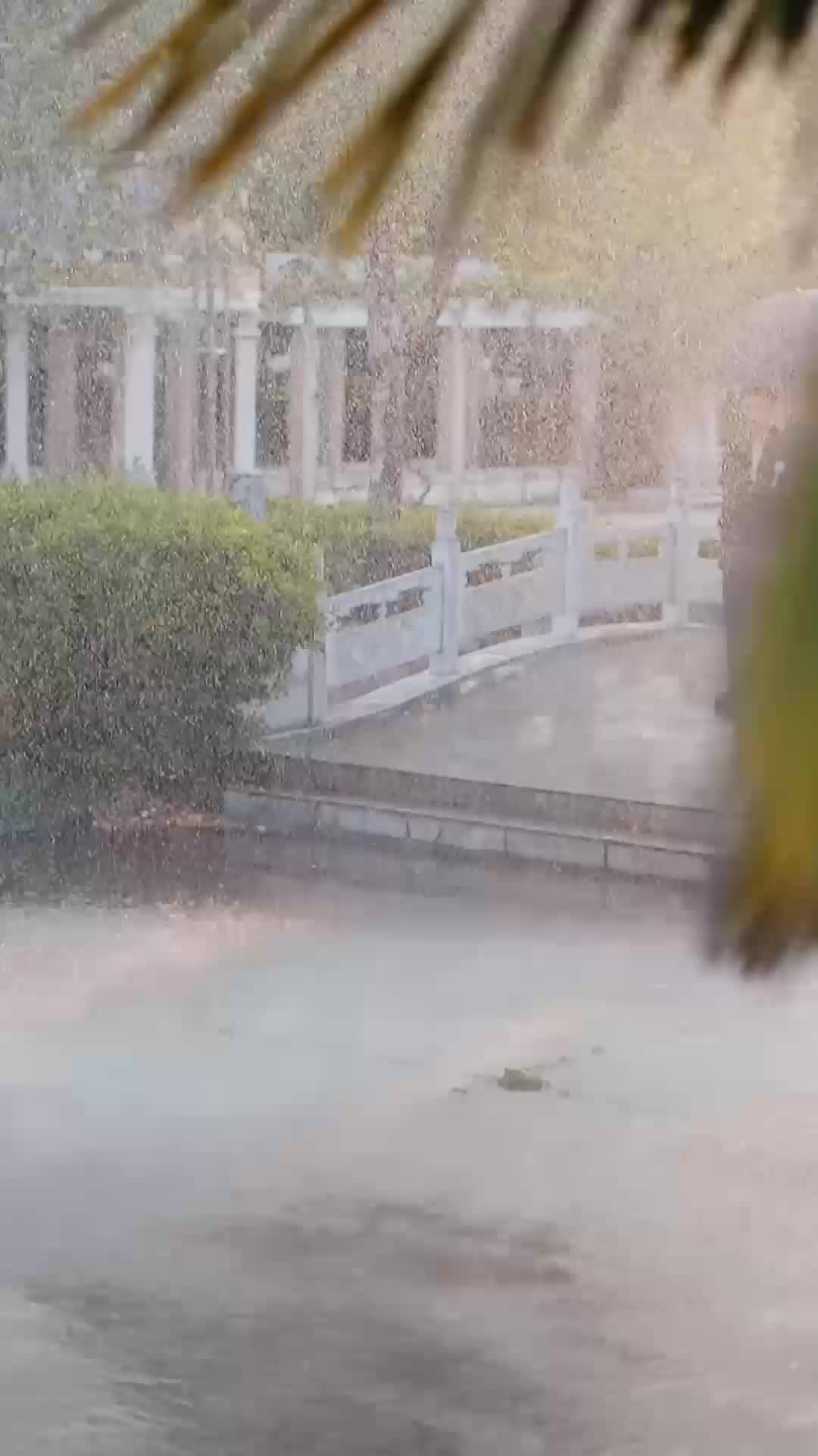 炙热眷恋 EP.2