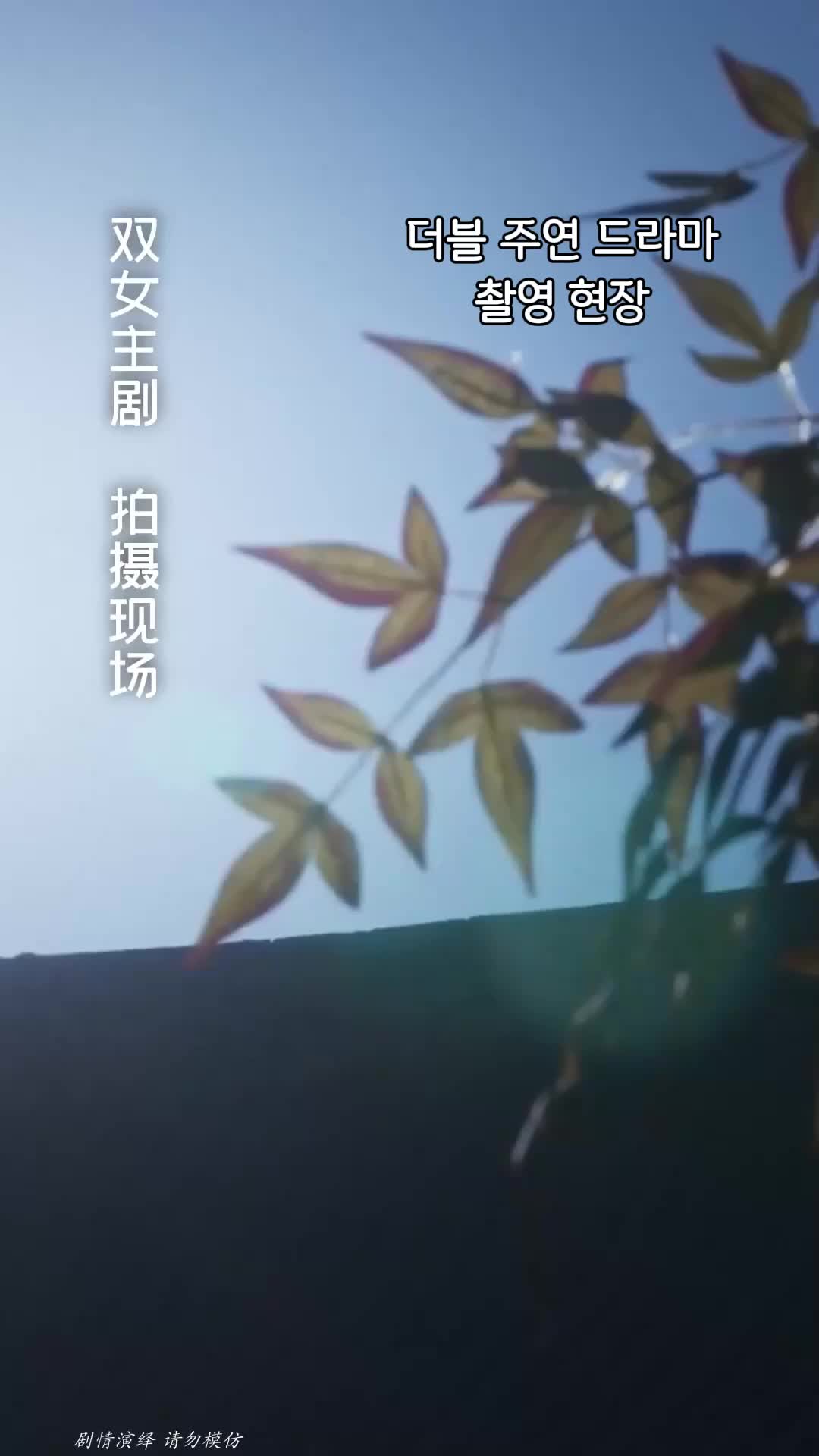 46회