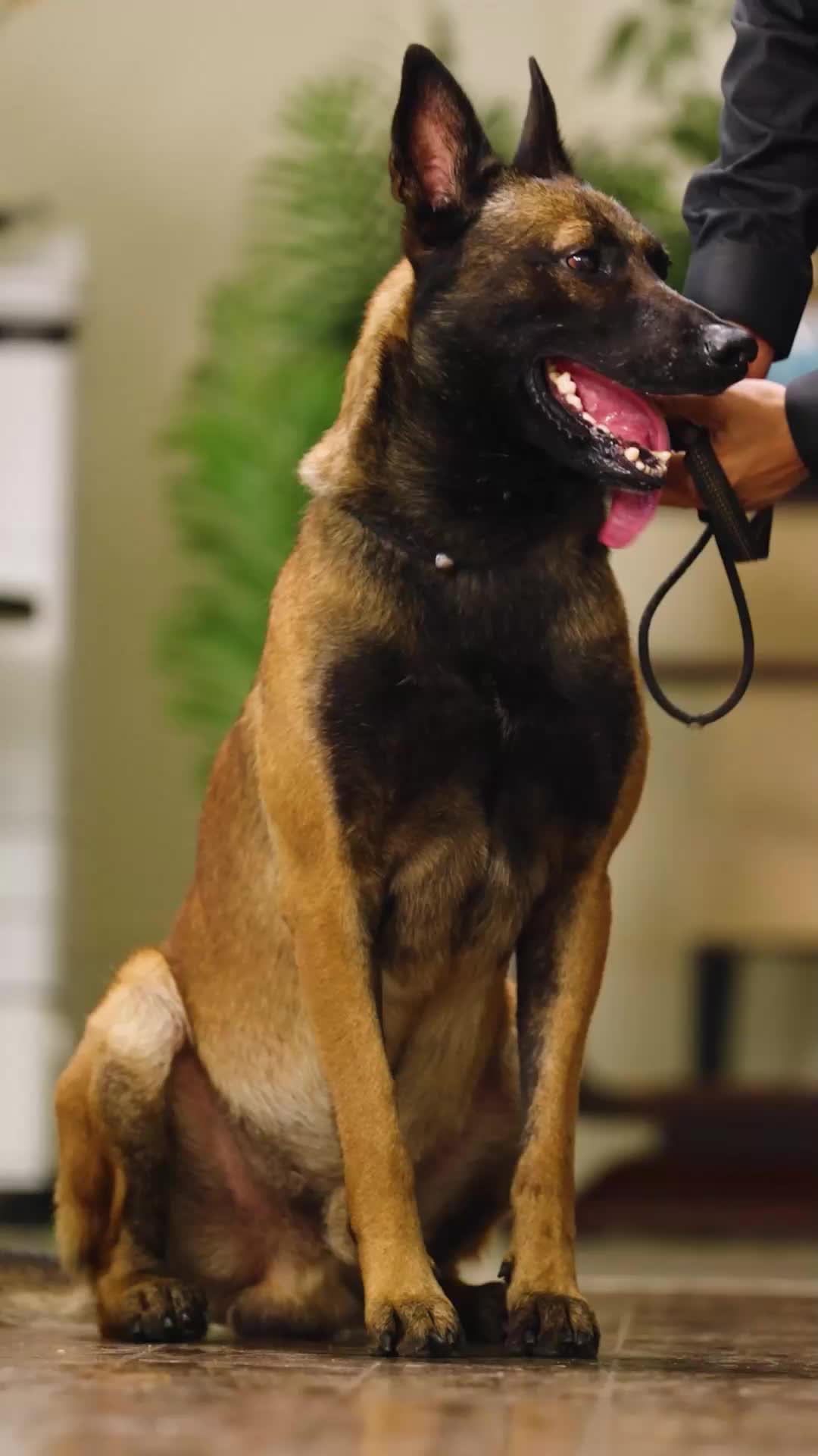 Mezar Ötesinden intikam EP.9