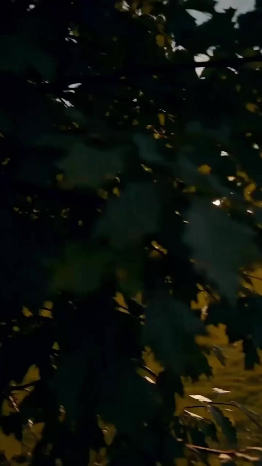ตอนที่ 1