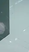 43회