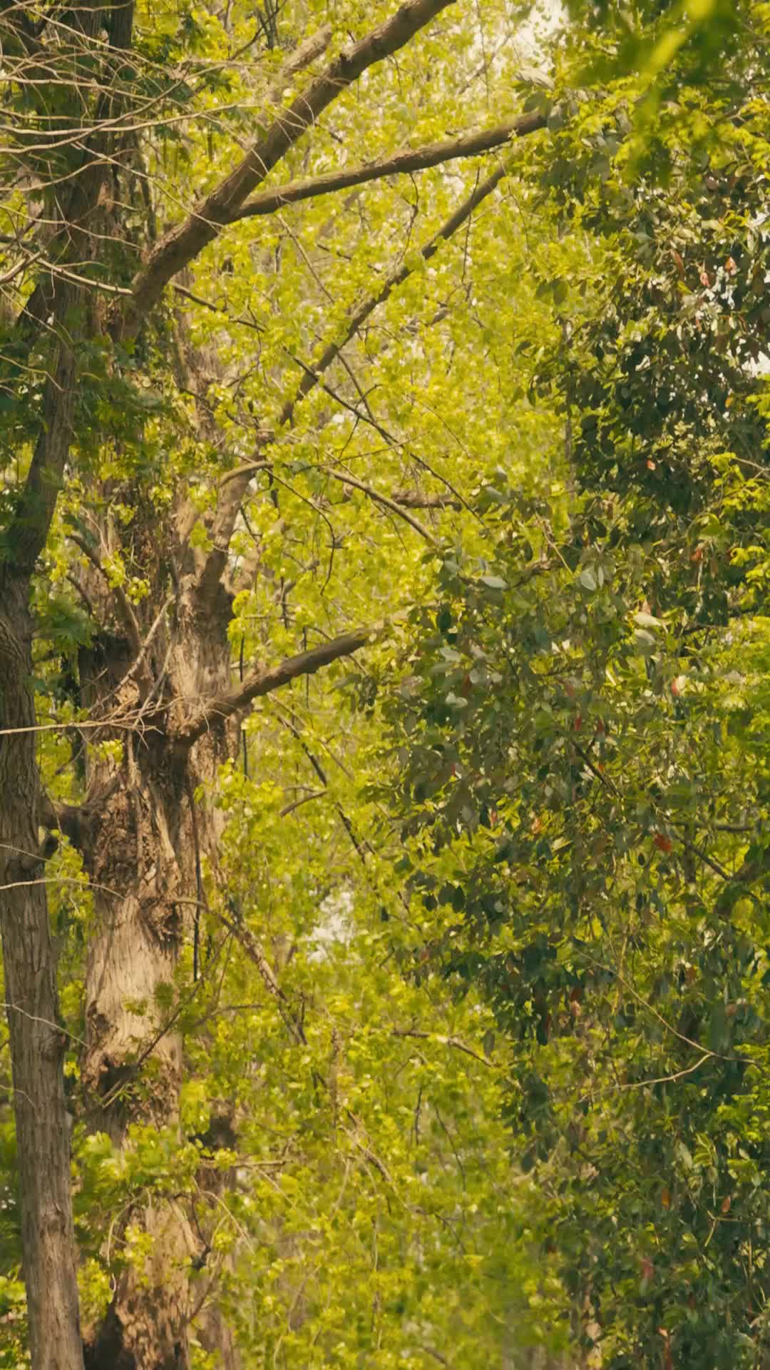 Episode 23