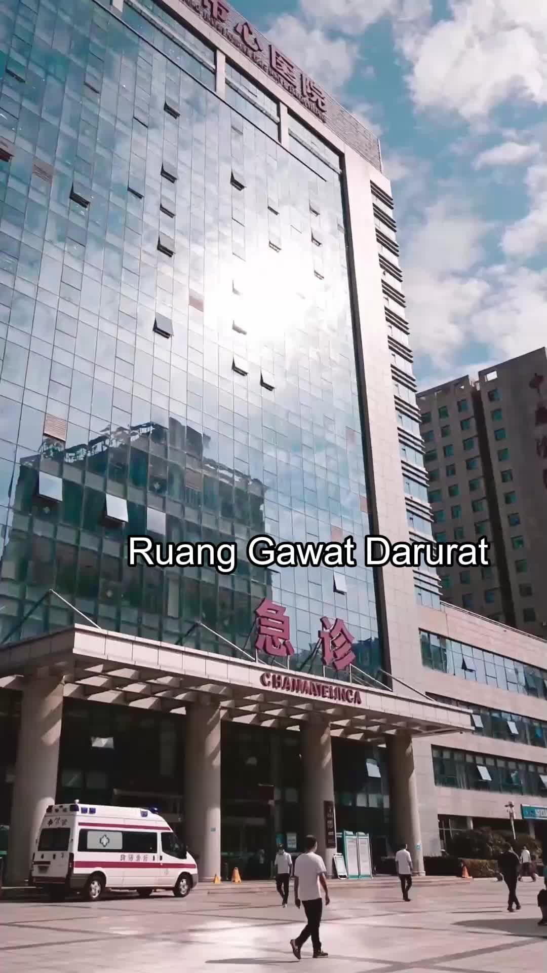 Muse Kontraknya EP.5