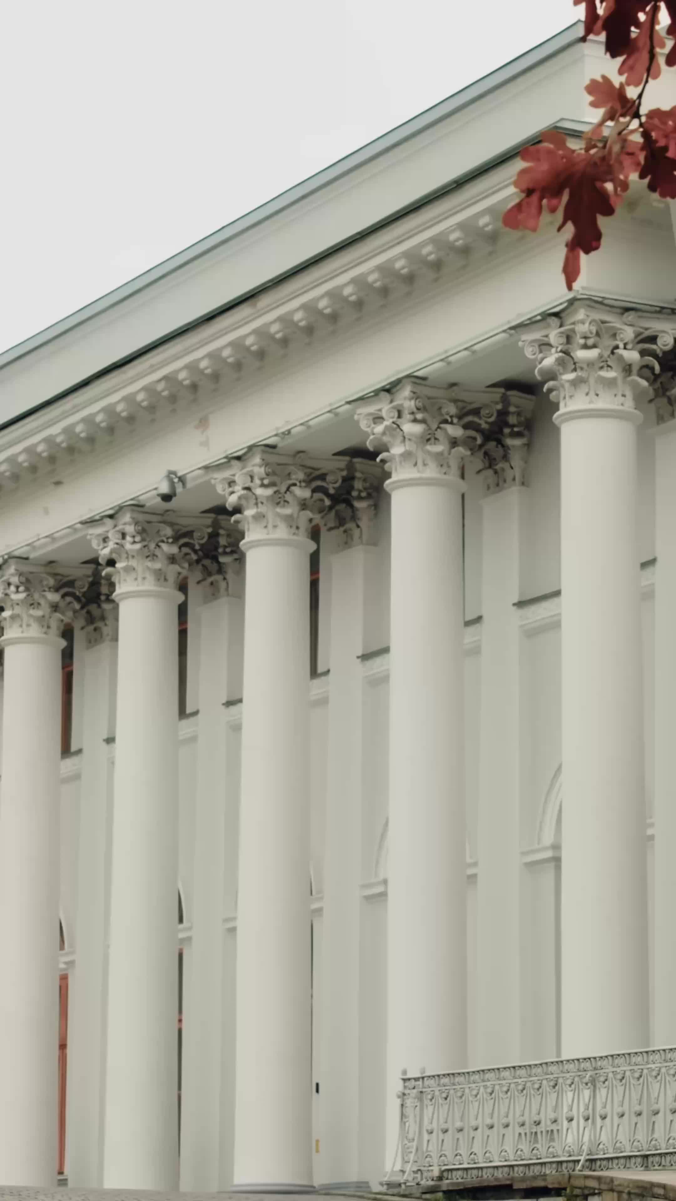 I Married The Mysterious CEO EP.11