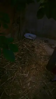 Wahrheit und Verbrechen EP.8