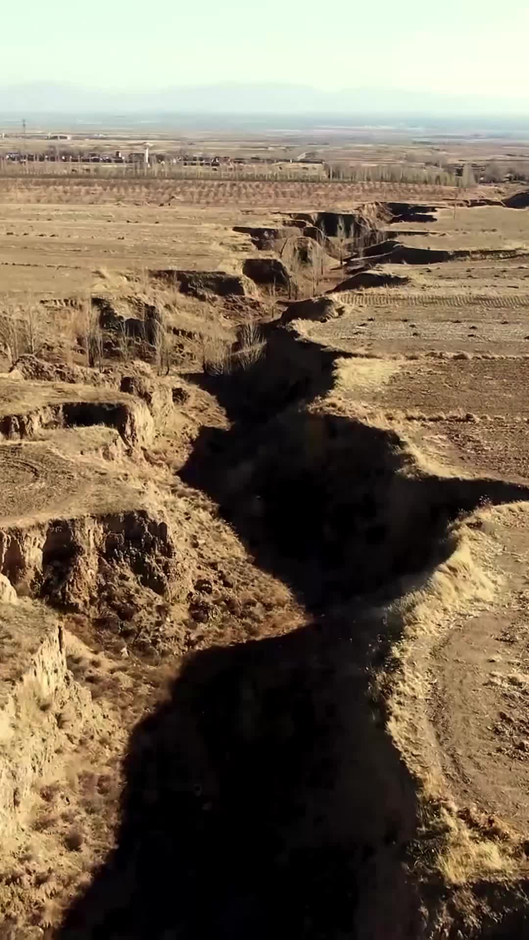 苦尽柑来小财星 EP.1