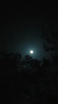 La Princesse aux Mille Bêtes EP.7