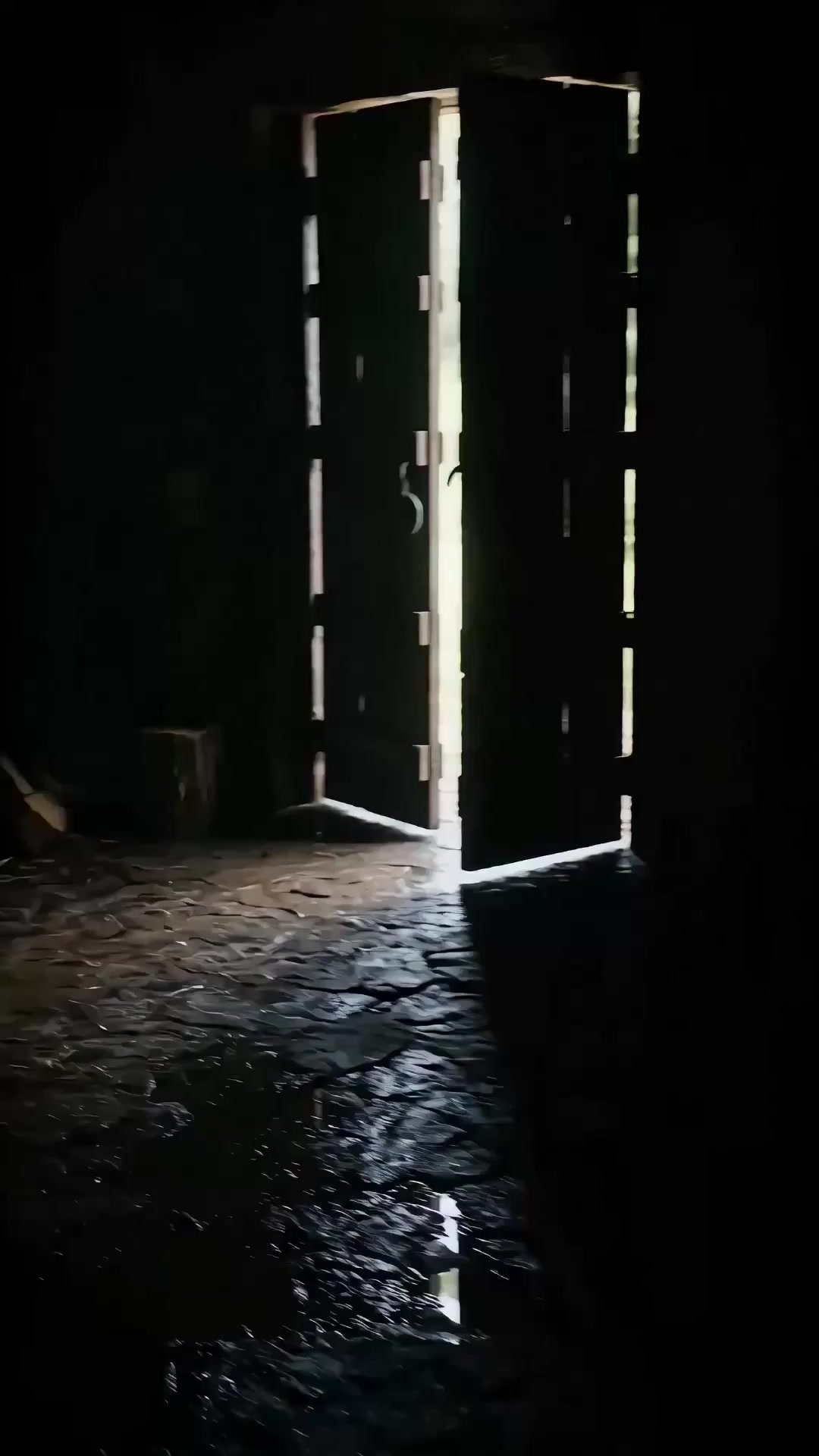 孤高の皇太子を奪った神医の逃亡妃 EP.6