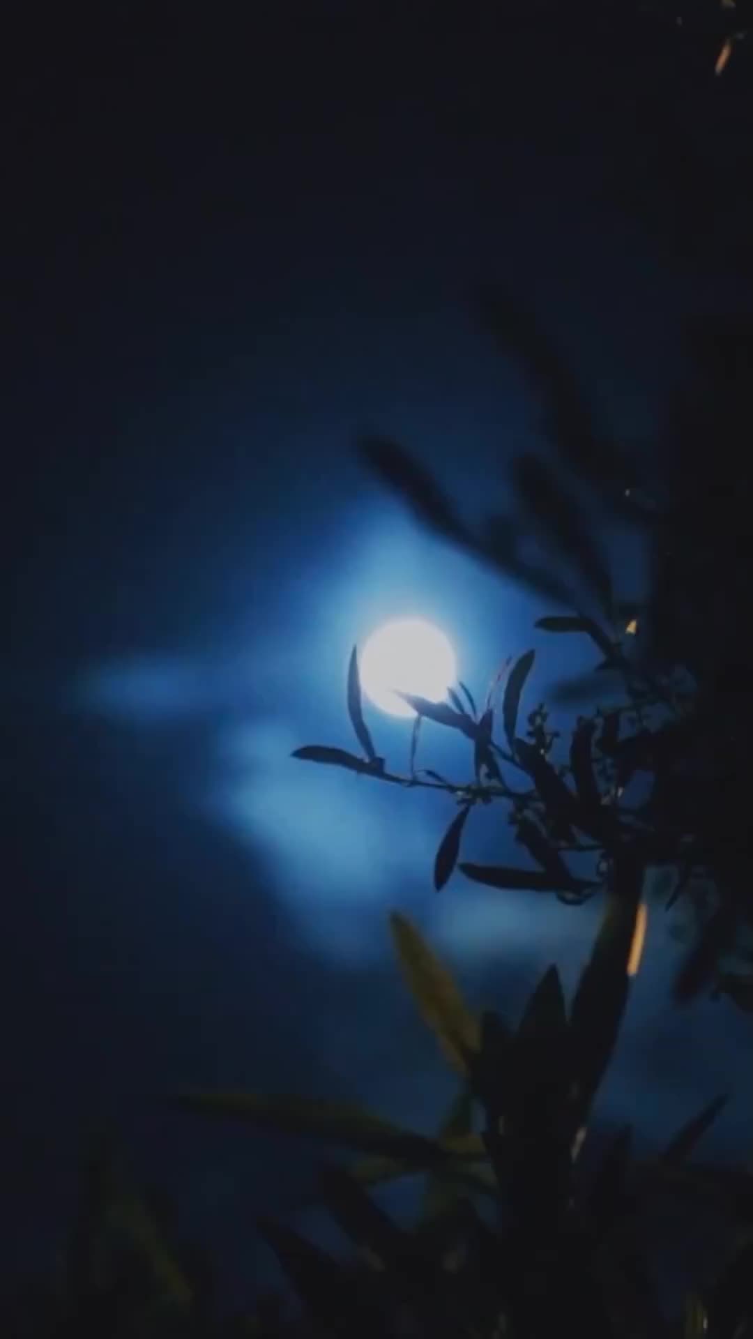 Belas Kasih Berbahaya EP.2