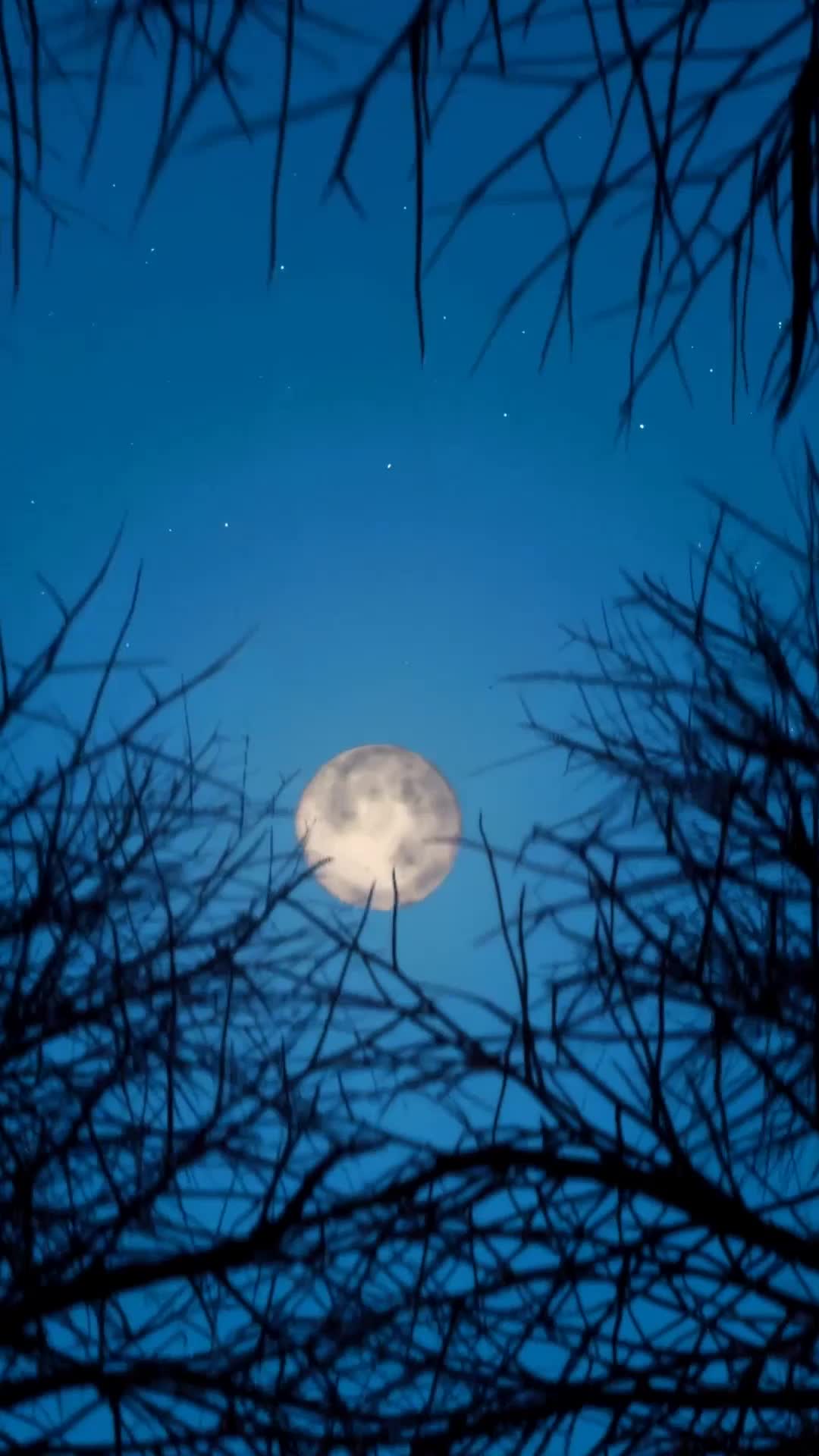 Fated to Miss: The Luna in His Dreams
