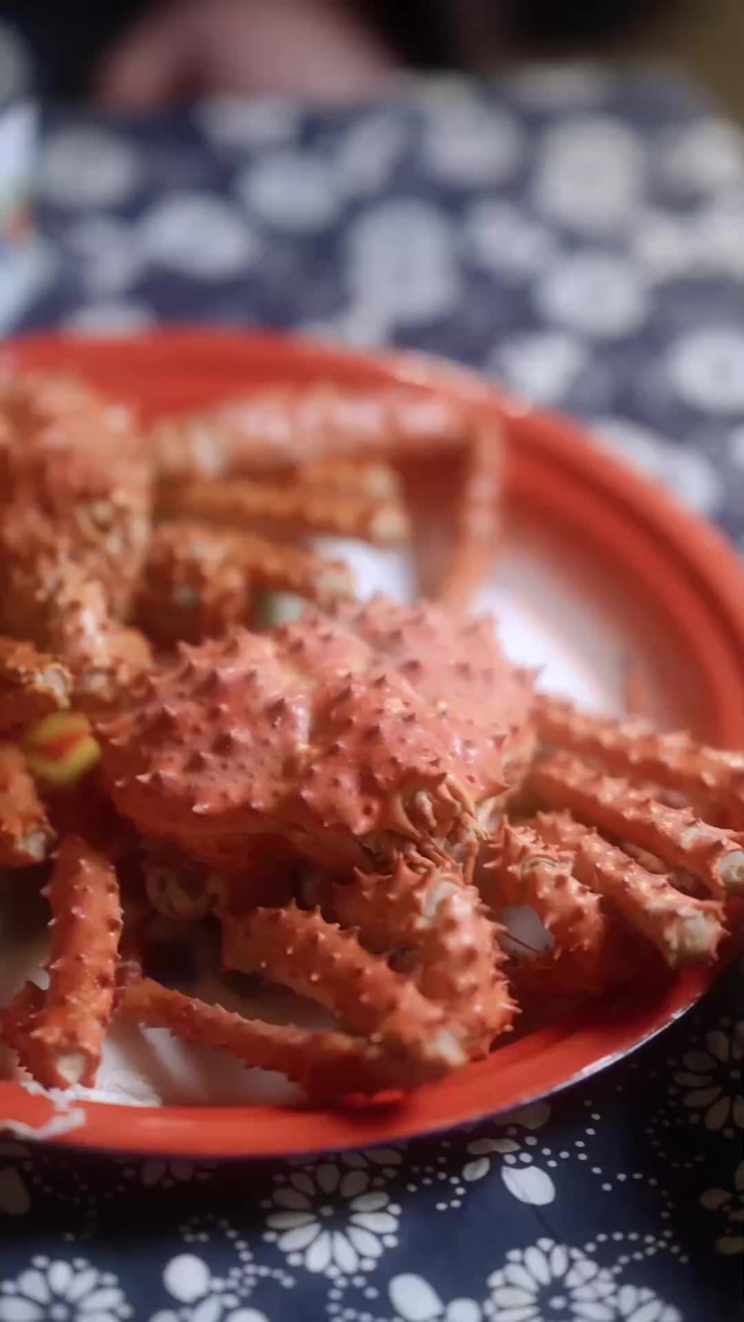 Hôn Vương Miện Của Tôi EP.1