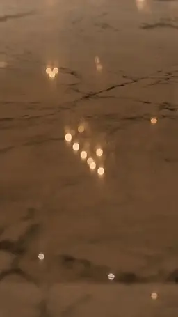 Episode 29