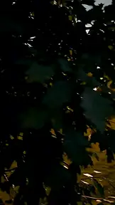 危险继兄:心动隔墙有耳 EP.1