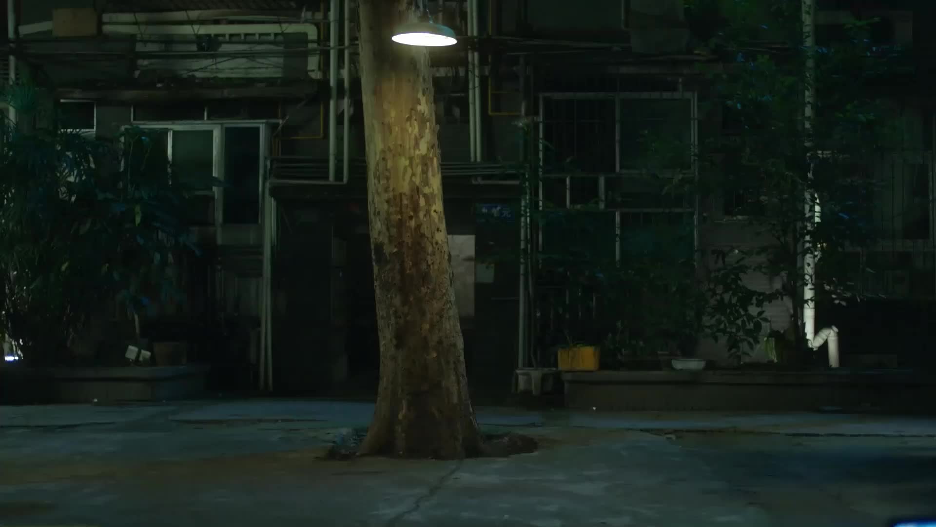 花美男en EP.5