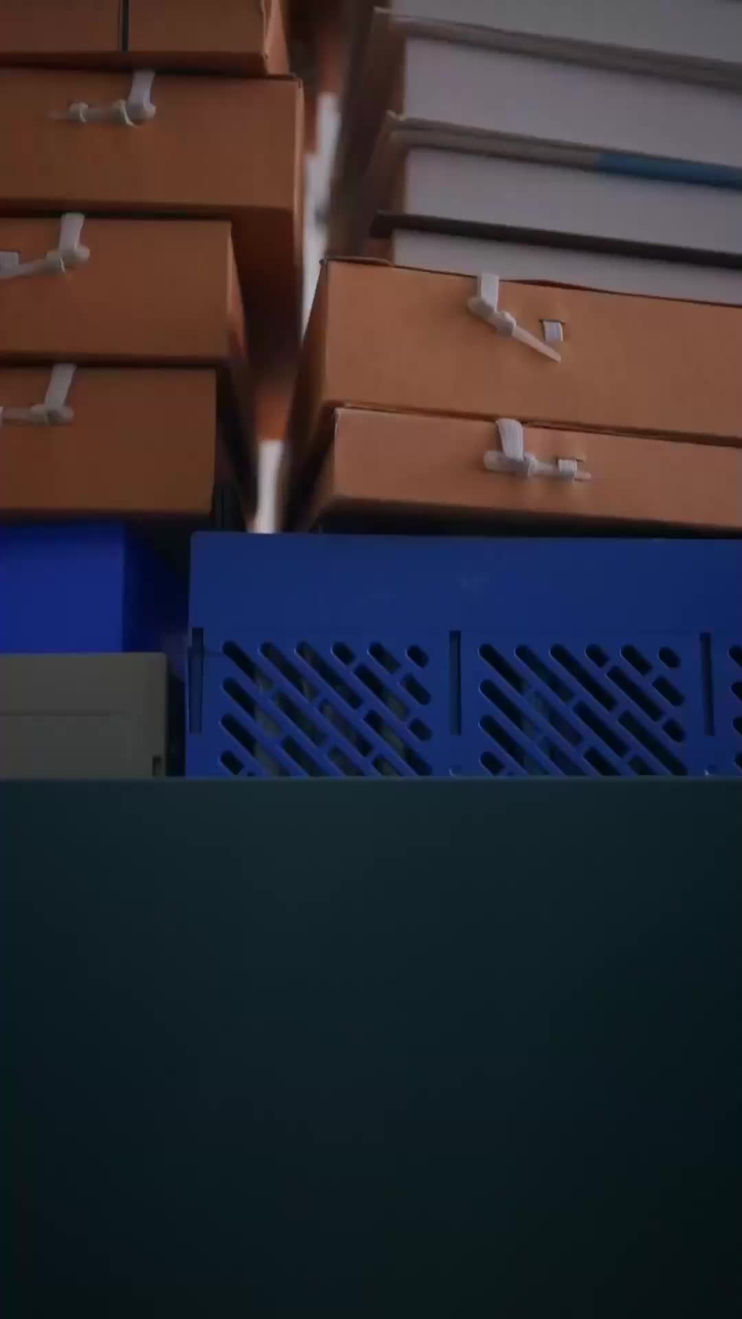 Levando Minha Chefe CEO para Casa EP.1