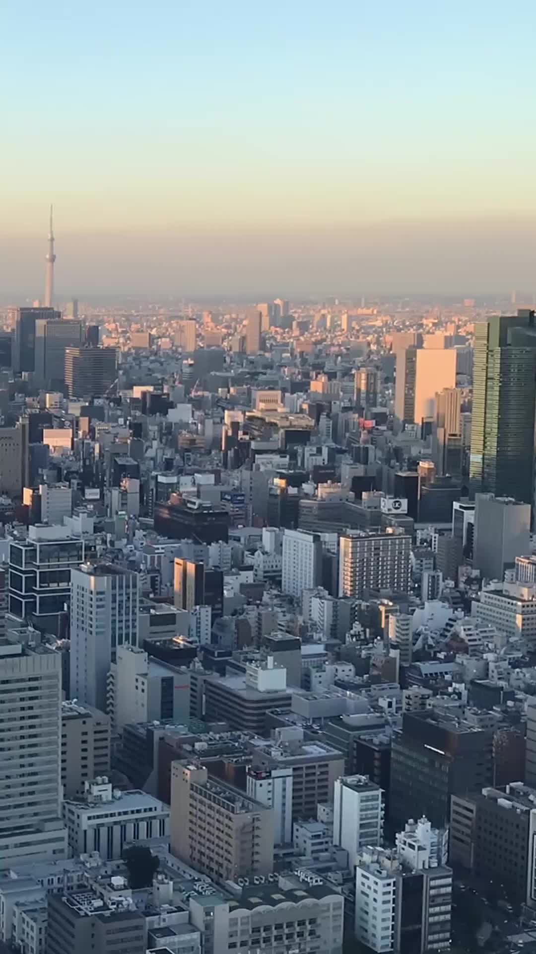 Professora, Caia em Meus Braços EP.1