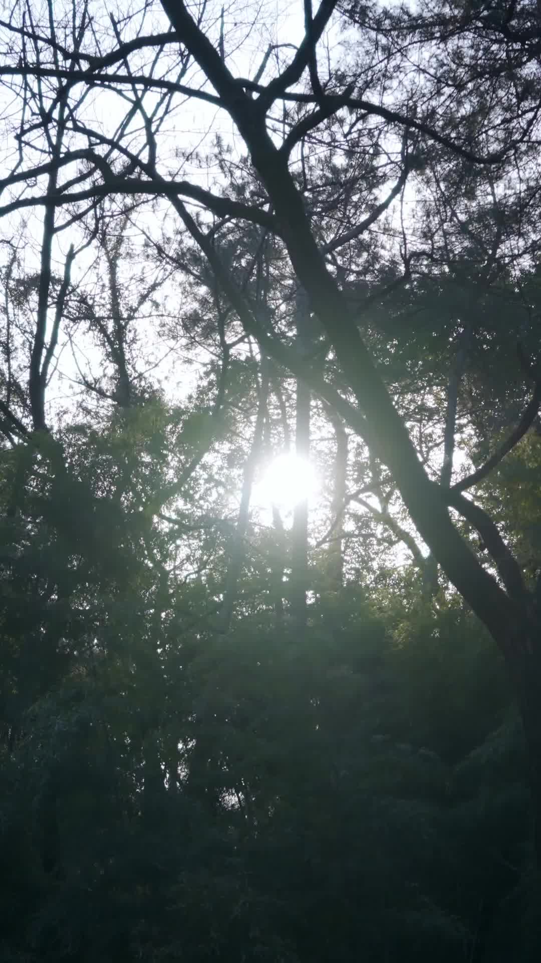 오! 나의 황자님 EP.6