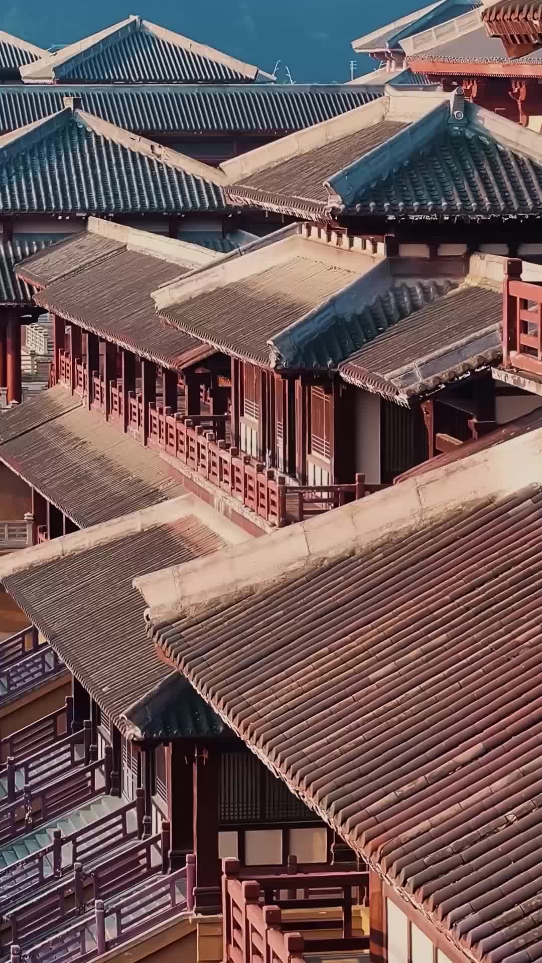 第60集