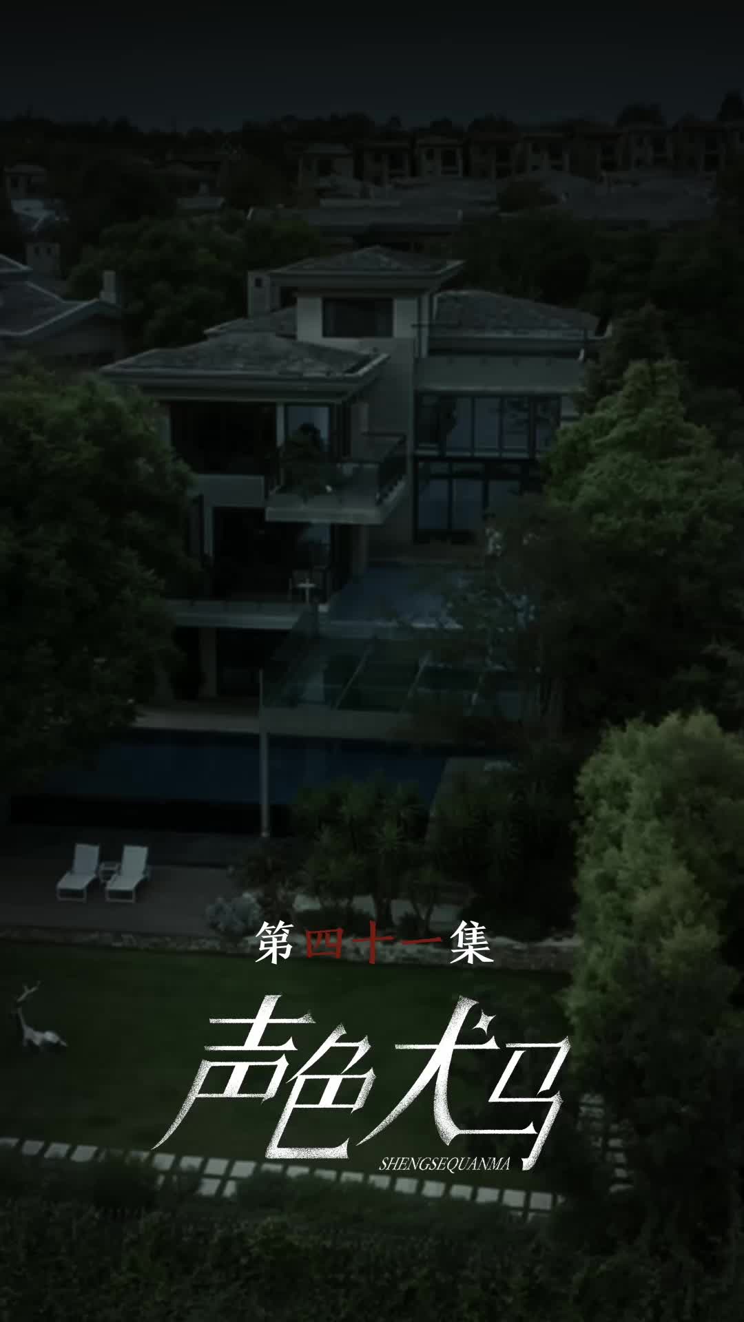 第41集