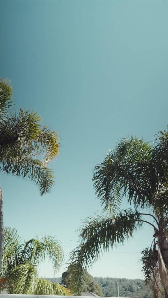 Tổng Tài Đừng Giày Vò Em Nữa tập 18