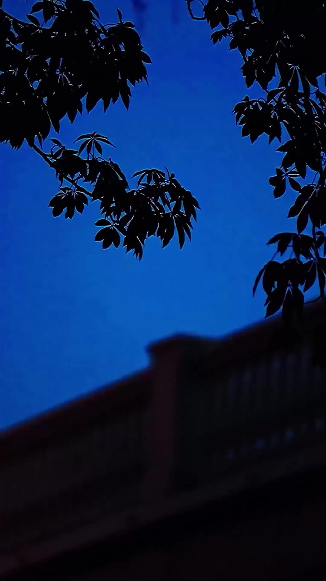 不再说从前（英语）不再说从前（英语）不再说从前（英语）不再说从前（英语） EP.12
