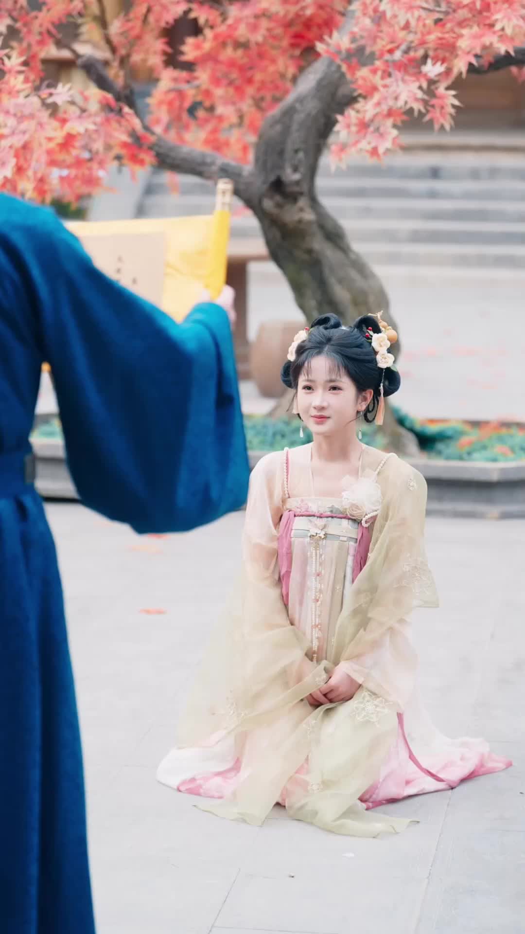 50회