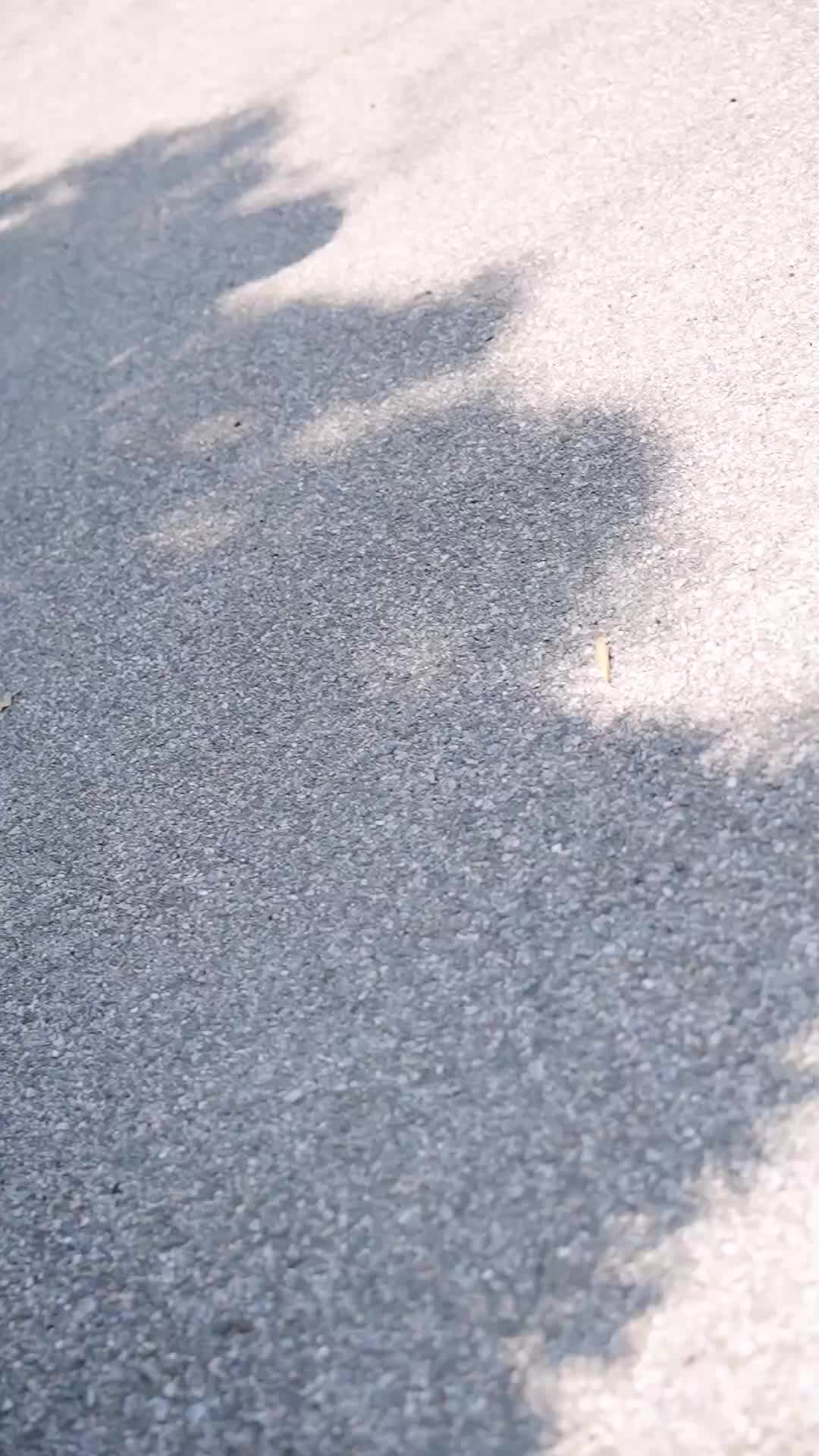 Cha Vợ Tôi Là Cao Nhân Ẩn Thế EP.1