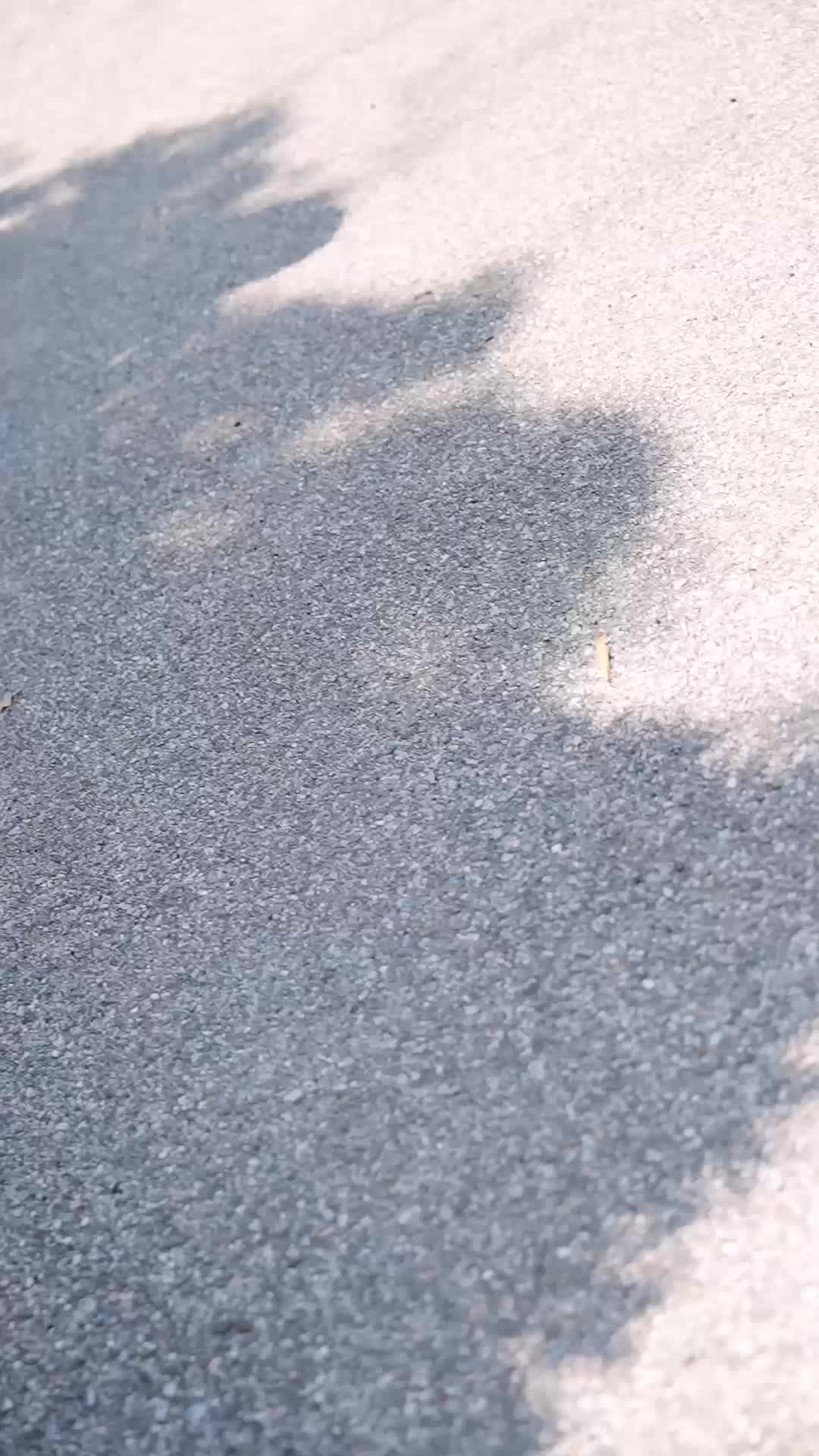 我的岳父是隐藏高人 EP.1