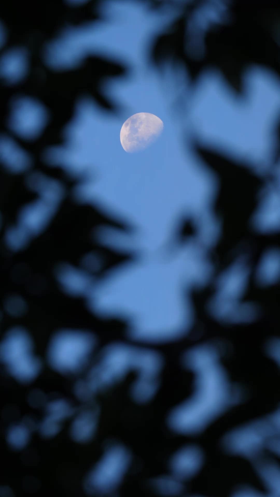 第14集