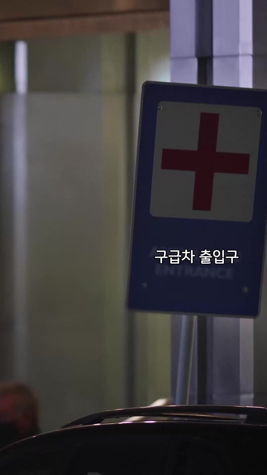46회