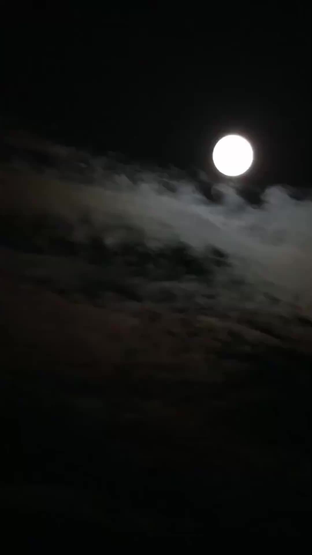 聽懂毛絨絨後,攝政王爹爹寵翻天 EP.7