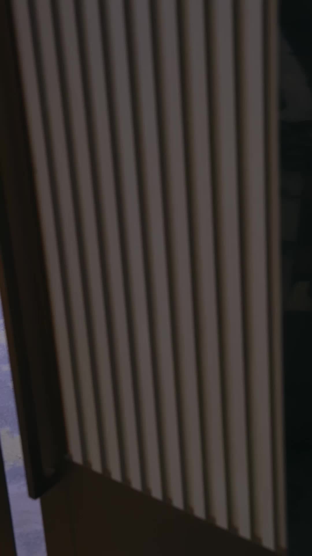 第38集