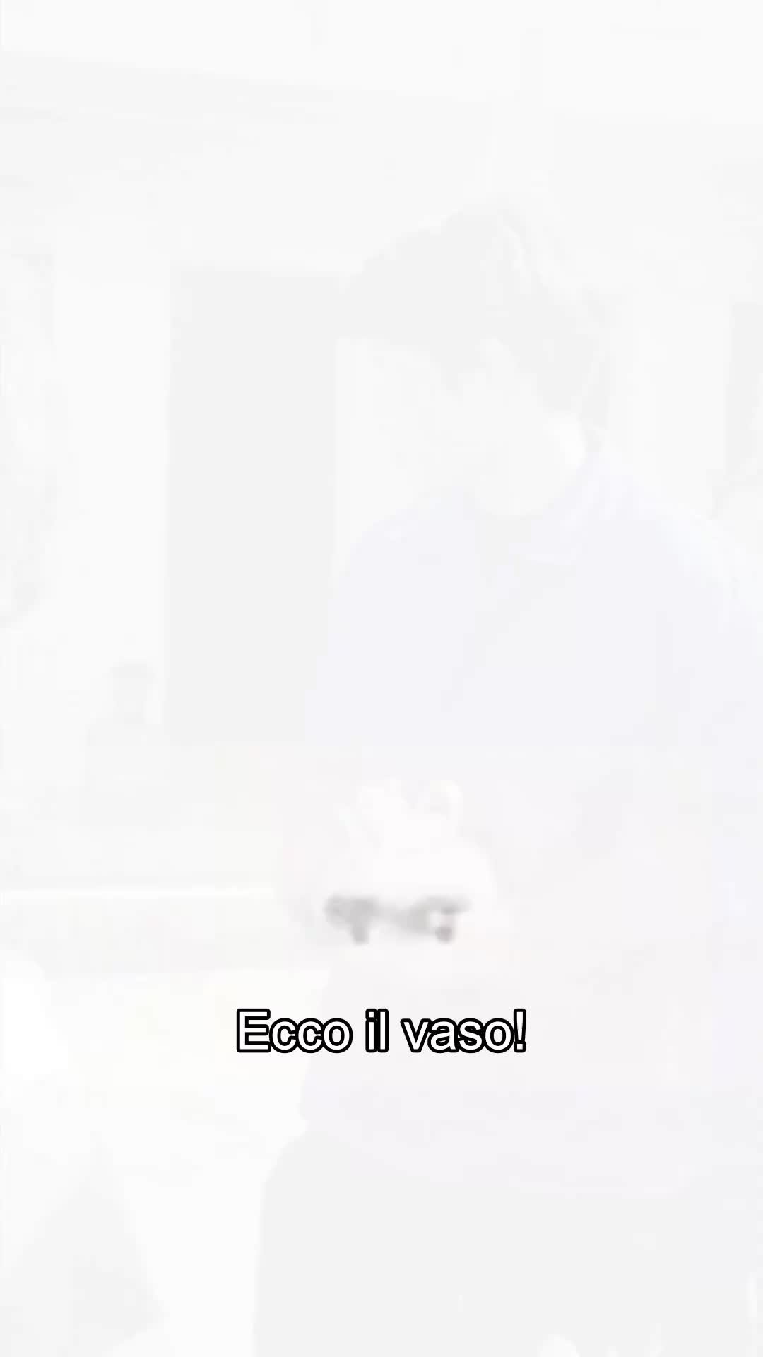 Rinato nel 1990 EP.8