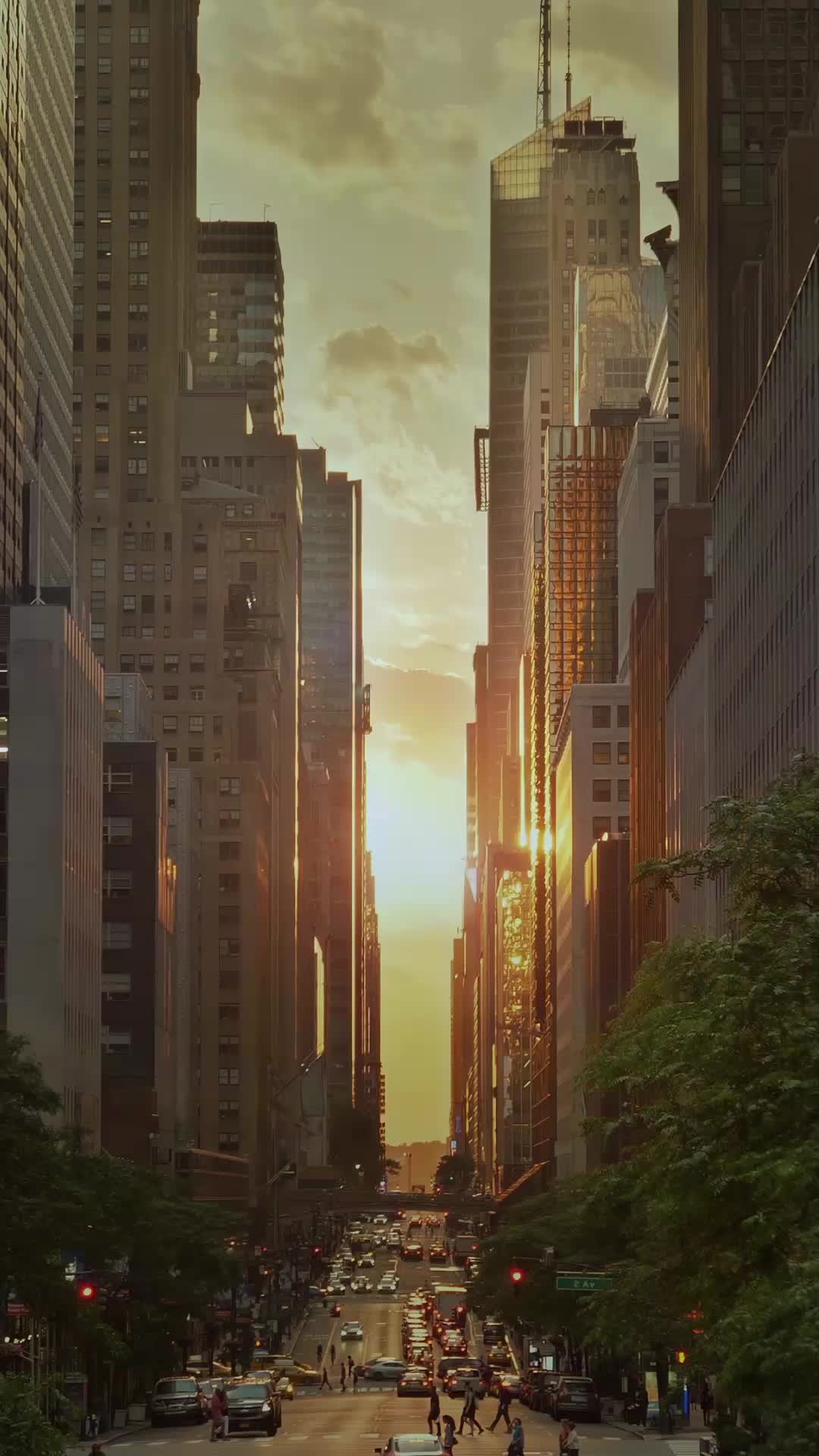 Episode 29