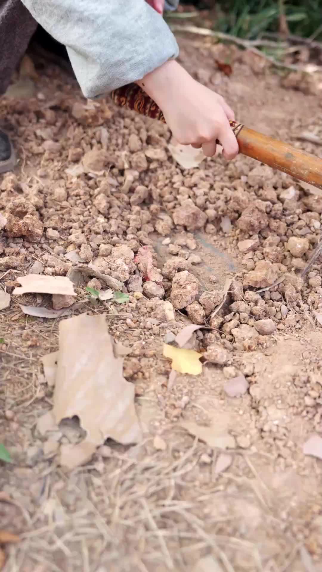 Tiểu Thư Báo Thù EP.5