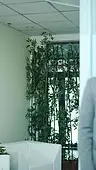 Episode 29