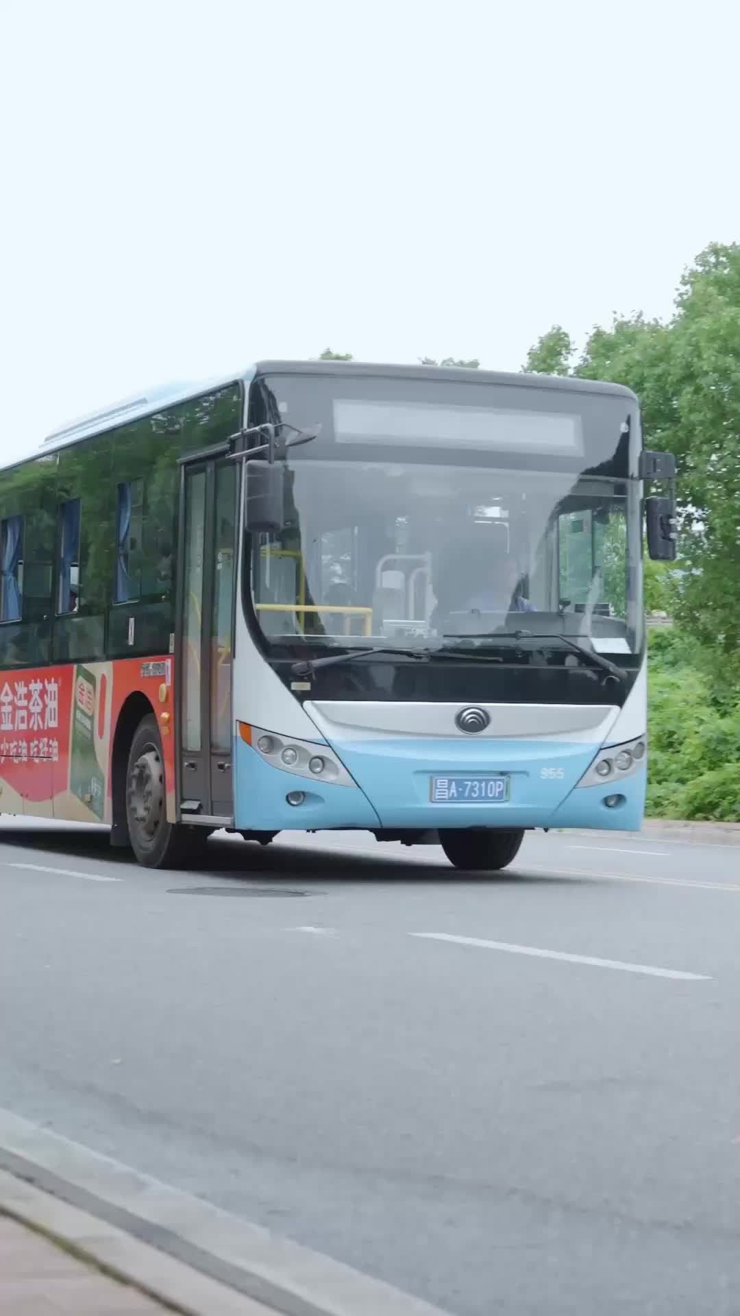 33회