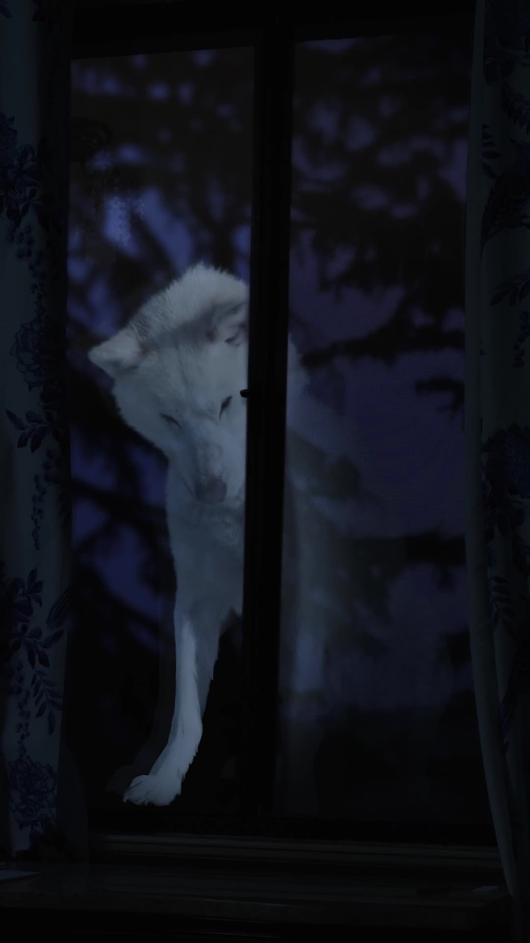 第17集