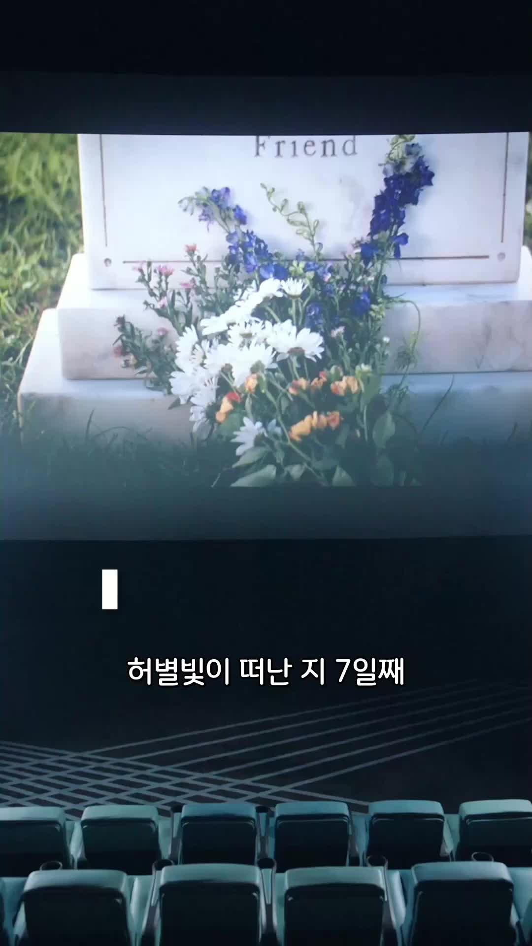 12회