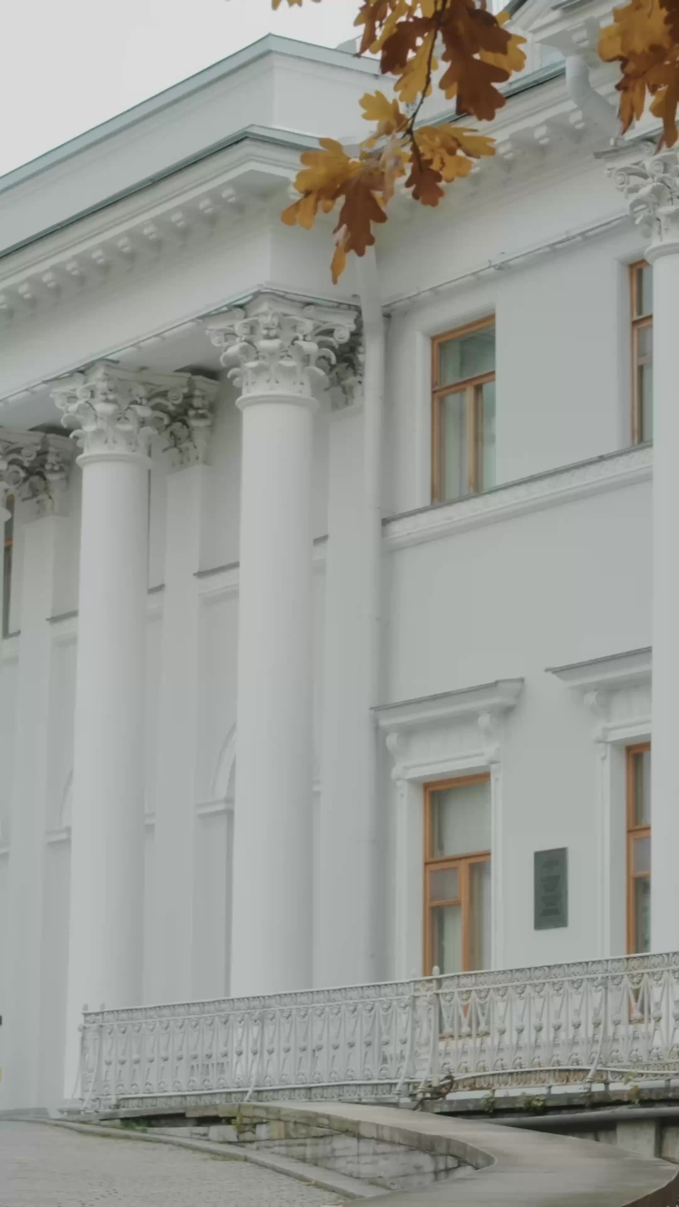 I Married The Mysterious CEO EP.1