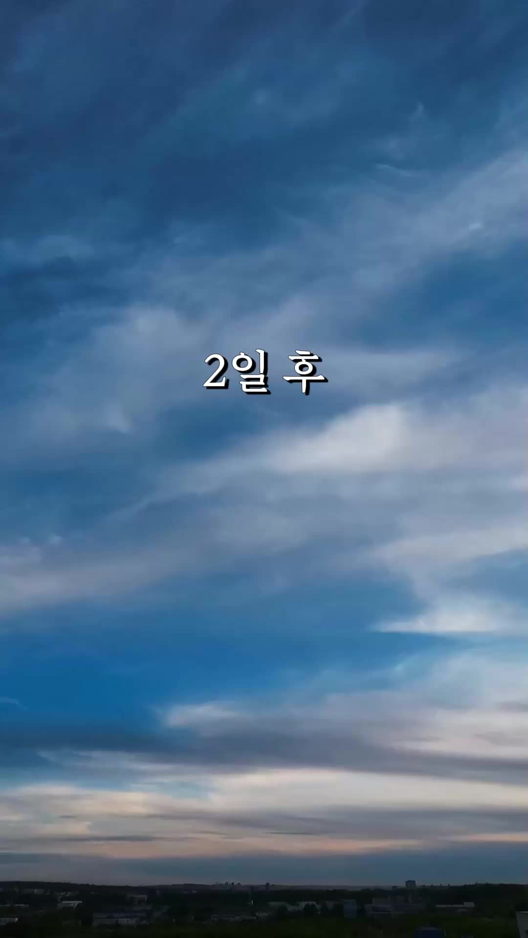 66회