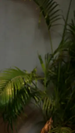 Episode 51