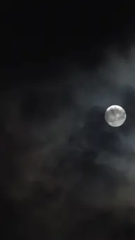 President's Sexy Wife EP.5