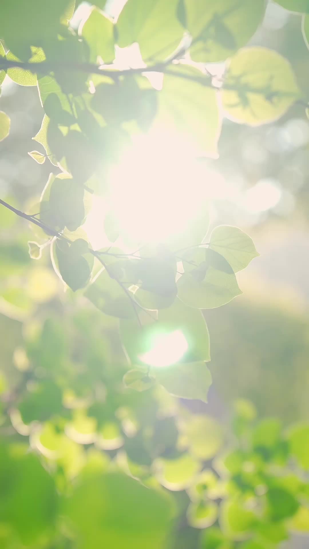 第74集