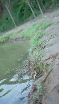 เกิดใหม่เป็นปลา ทำเอาคนตกปลาร้องไห้เลย EP.31